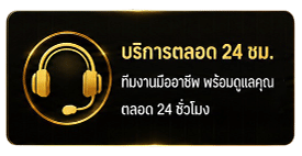 บริการตลอด 24 ชั่วโมง